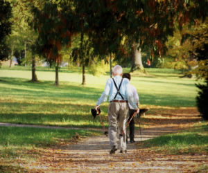 Nordic Walking jesienią? Temperatura pomoże w dziarskim chodzeniu. ;)