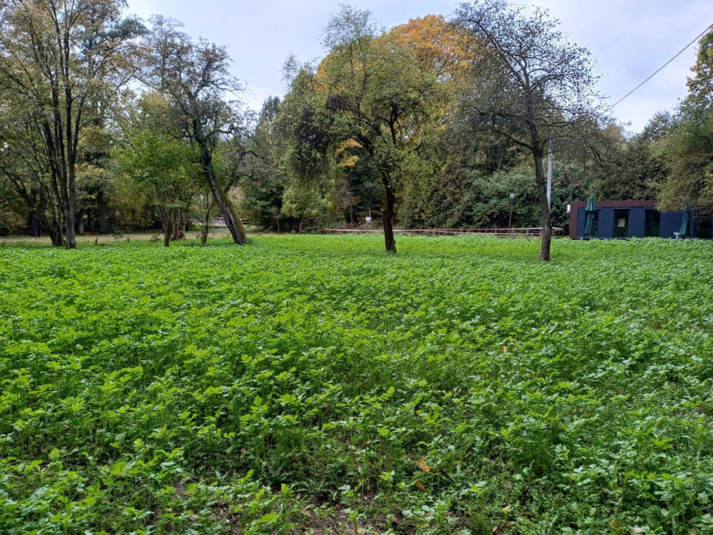 Pasieka Edukacyjna Ostrzeszów