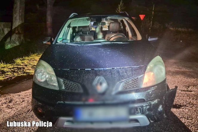 Pijana 59-latka z gminy Szlichtyngowa za kółkiem. Pojechała do sklepu na zakupy