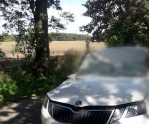 Potężna wichura w warmińsko-mazurskim. Drzewo spadło na auto. KIEROWCA ZGINĄŁ NA MIEJSCU