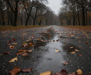 Weekendowa pogoda w Łodzi ma jeden słabszy moment. Ten dzień może pokrzyżować plany
