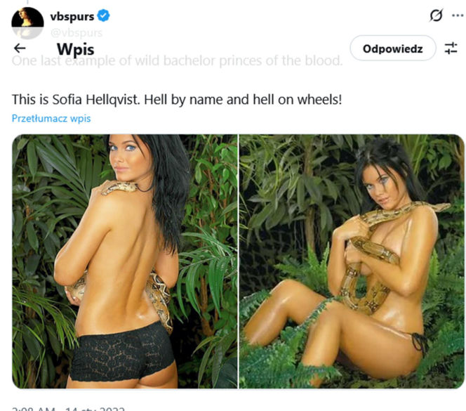 Księżna spotykała się z Epsteinem! "Zapraszał na wyspę"