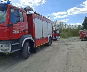 Nieznana substancja w rzece Kamiennej