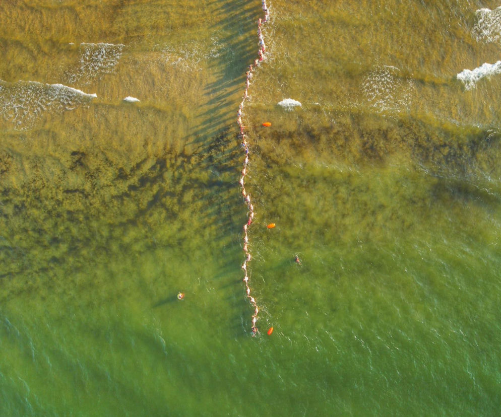 Łańcuch życia przy plaży w Gdańsku
