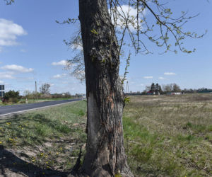 Rogówko, śmiertelny wypadek