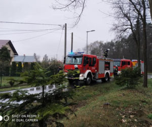Poniedziałek Wielkanocny. Powalone drzewa i ulewy (ZDJĘCIA) 