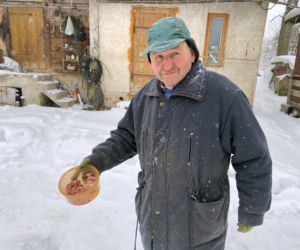 Bocian spędza zimę w Topolanach na Podlasiu