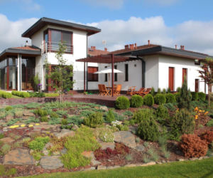 Skarpa obsadzona roślinami