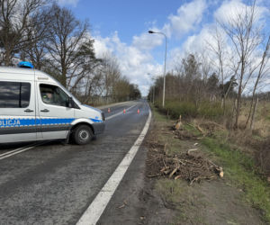 Powalone drzewa i awarie prądu w części województwa