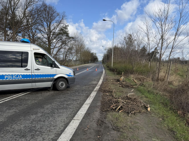 Powalone drzewa i awarie prądu w części województwa