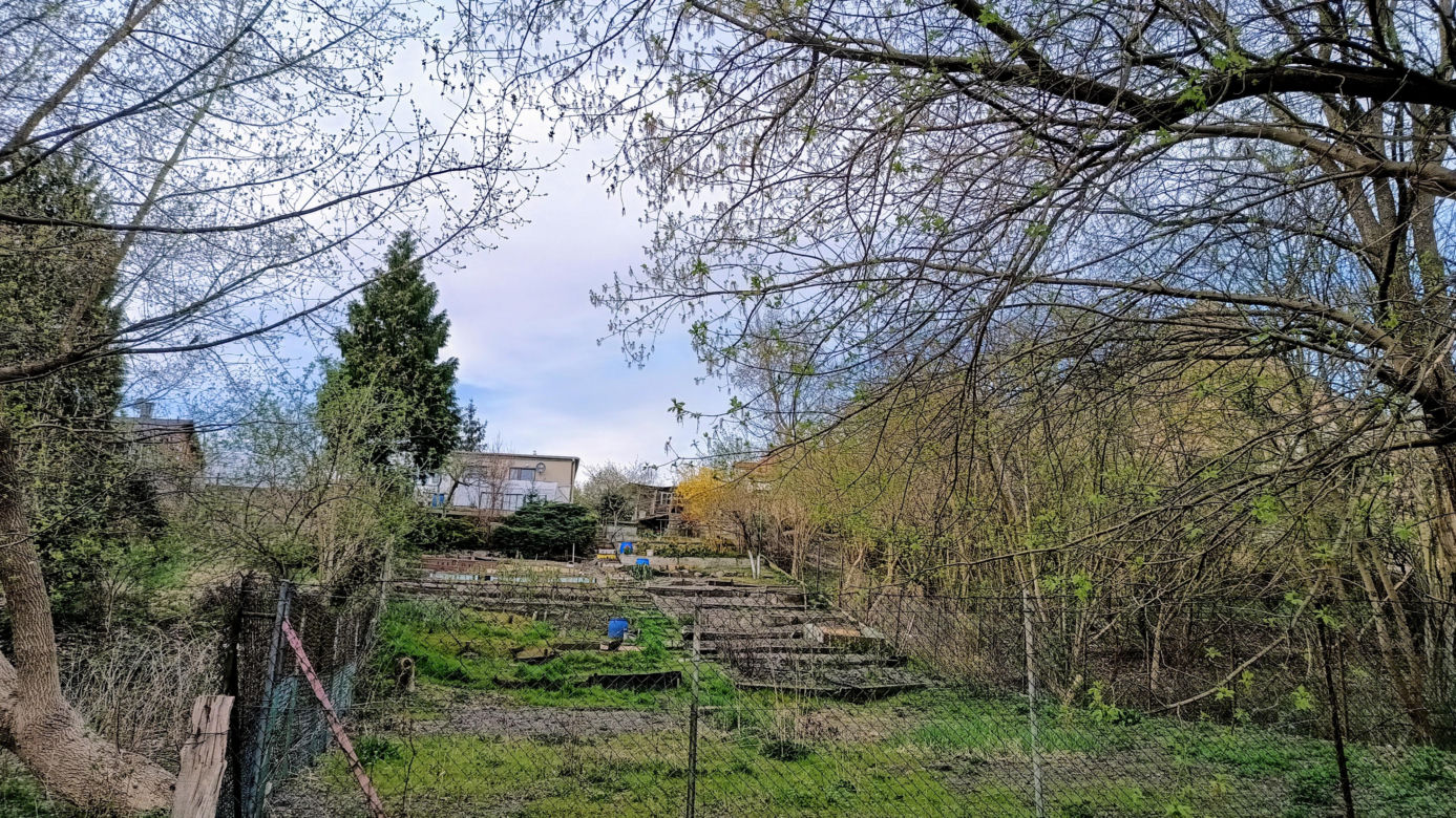 Rybaki, Toruń