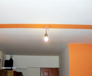Zdjęcie 4069