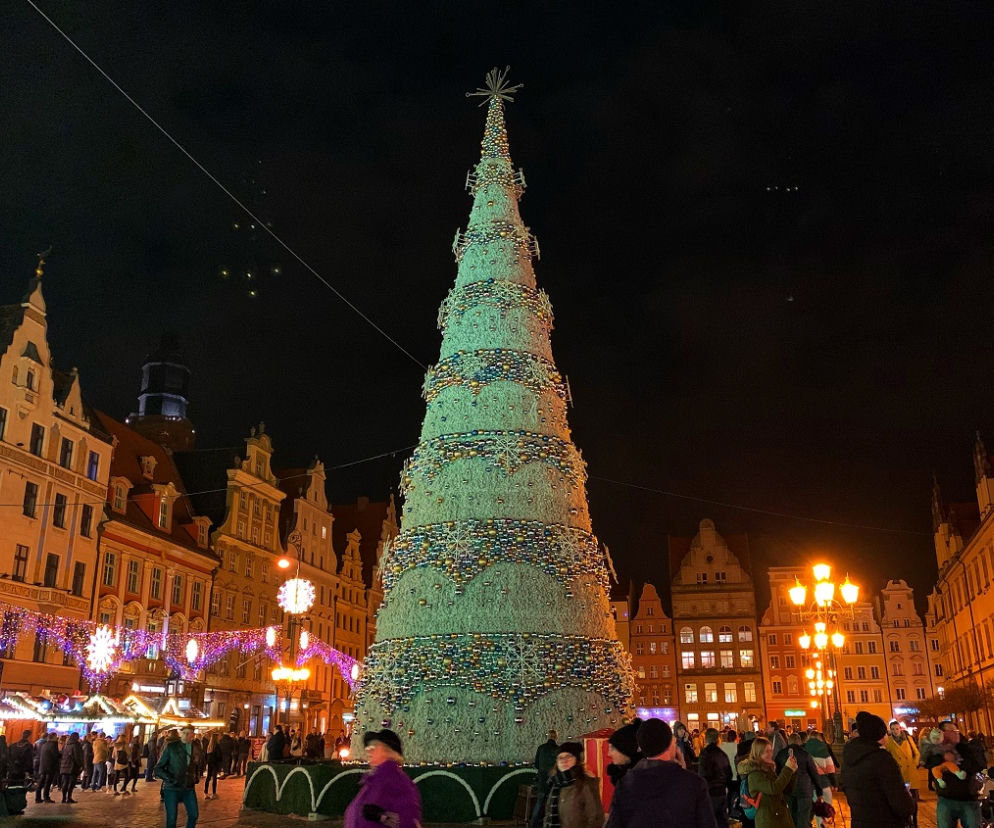 Choinka na Rynku we Wrocławiu rozbłyśnie już w piątek
