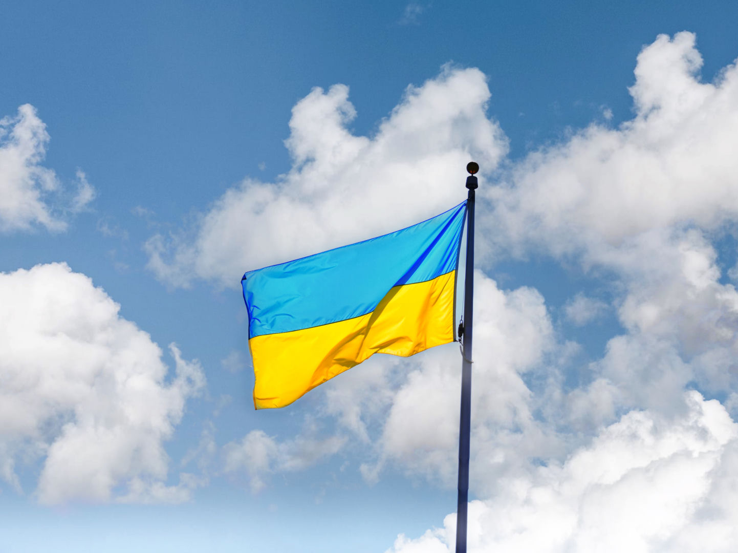Changes in Ukrainian politics. The fresh  prime minister and the resignation of the defence minister