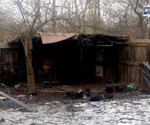 Mężczyzna z Bytomia trzymał zwierzęta w skandalicznych warunkach