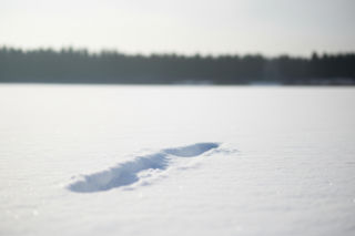 Śmierć Emilii pod Włodawą. Czy lokalna społeczność wie więcej, niż mówi?