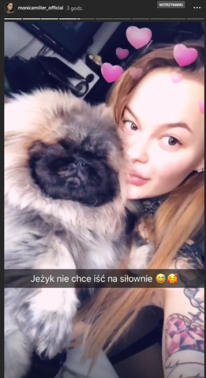 Gwiazdy lansują się w internecie