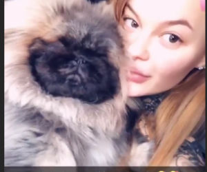Gwiazdy lansują się w internecie