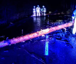Usuwali drzewo z drogi i usłyszeli wołanie o pomoc. Strażacy byli w szoku