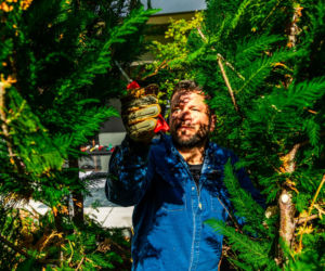 Murator Ogroduje, realizacje