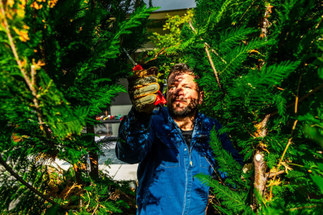 Murator Ogroduje, realizacje