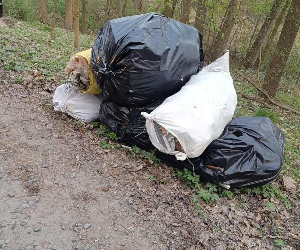 Wyrzucił worki pełne śmieci do lasu. Mieszkaniec gminy Lipno ukarany