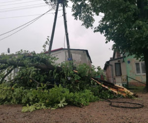 Drzewo przygniotło auto! Gdzie są burze w Płocku i okolicach?
