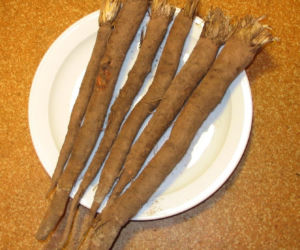 Wężymord to jedno z najbardziej niedocenianych warzyw w polskiej kuchni. Jest bogate w inulinę oraz cenne minerały