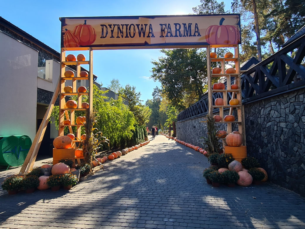 Dyniowa Farma w Radawie.  Jedno z najbardziej instagramowych miejsc na Podkarpaciu [GALERIA]
