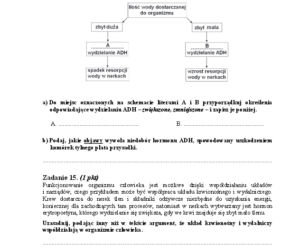 Arkusz biologia podstwowy matura 2014