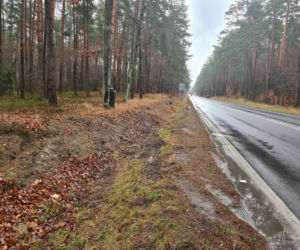 Zakręt śmierci w Jamnicy zabrał kolejne młode życie