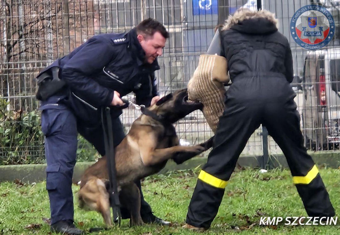 Nowe psy w zachodniopomorskiej policji
