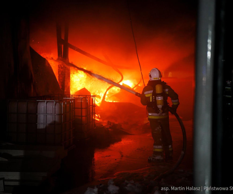 Strażak gasi ogromny pożar hali w Międzychodzie-Bielsku. O akcji 150 strażaków i alercie RCB przeczytasz na SE.