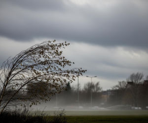 Łódź, 19.11.2025. Co czeka nas w środę?