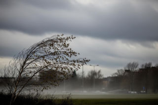Łódź, 19.11.2025. Co czeka nas w środę?