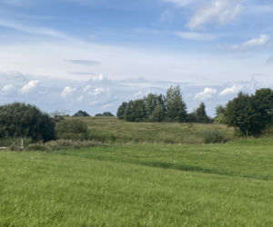 Bitwa o Polanę Ukciańską nad Krutynią