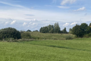 Bitwa o Polanę Ukciańską nad Krutynią