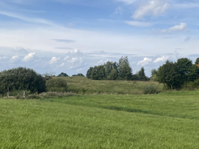 Bitwa o Polanę Ukciańską nad Krutynią