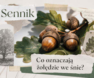 Żołędzie we śnie: co oznaczają i na co zwrócić uwagę