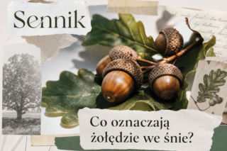Żołędzie we śnie: co oznaczają i na co zwrócić uwagę