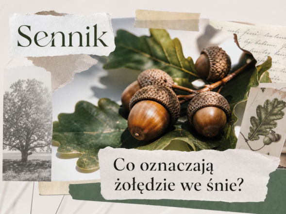 Żołędzie we śnie: co oznaczają i na co zwrócić uwagę