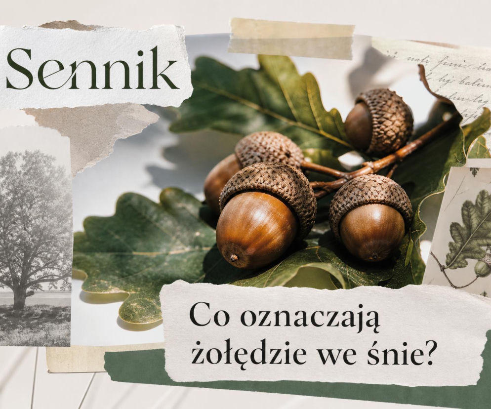 Cztery żołędzie na liściu dębu. Obok napisy Sennik i pytanie o ich znaczenie. O symbolice snu przeczytasz na SE.