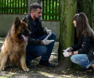 Komisarz Alex 8 sezon odc. 92. Ewa (Agnieszka Więdłocha), Michał Orlicz (Antoni Pawlicki)