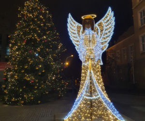 Świąteczne iluminacje w Olsztynie. Zobacz zdjęcia
