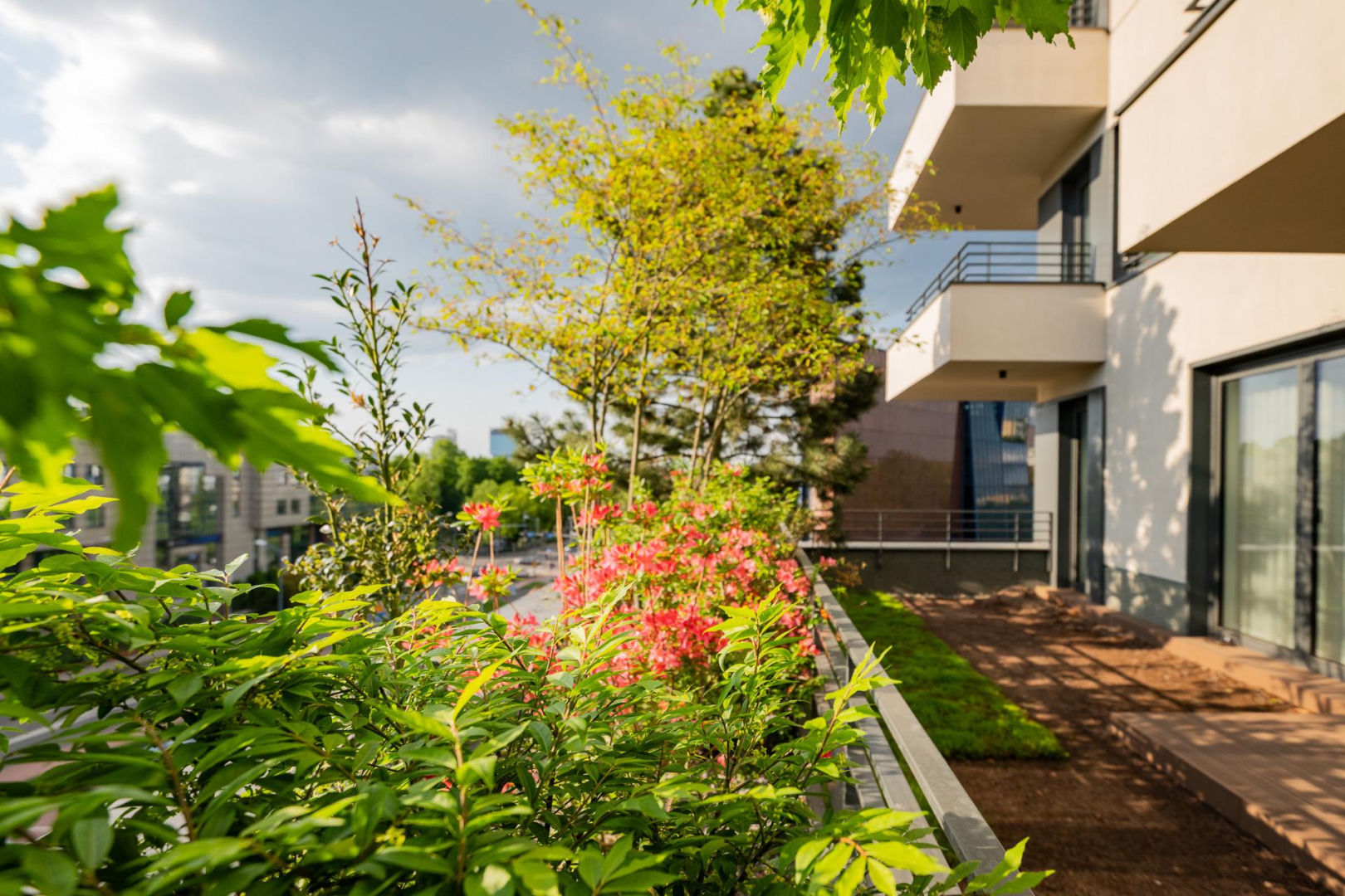 Damrota Garden - apartamentowiec w Katowicach z drzewami na fasadzie i dachu - czerwiec 2026