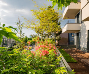 Damrota Garden - apartamentowiec w Katowicach z drzewami na fasadzie i dachu - czerwiec 2026