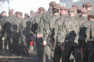 ASF w Łódzkiem. Wojsko wkracza do akcji! Trwają poszukiwania zakażonych zwierząt