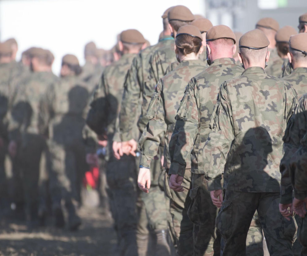 ASF w Łódzkiem. Wojsko wkracza do akcji! Trwają poszukiwania zakażonych zwierząt