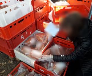 Spleśniała kielbasa i przeterminowane produkty mięsne: Wielka kontrola na bazarze Olimpia! 