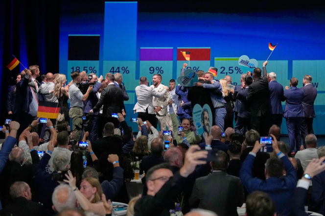 Polityczne trzęsienie ziemi w Niemczech. Triumf AfD w wyborach